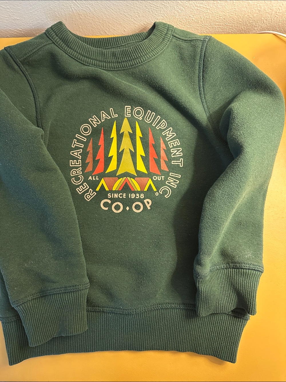 REI Kids Green Graphic Crewneck Sweatshirt with Yellow & Red Accents - Picture 5 of 5